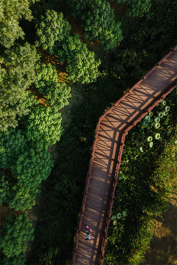 在東西湖，玩出圈！