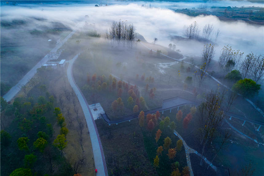 ޏ(f)SغB(ti)جF(xin)Ҋ(jin)Ķƺ^