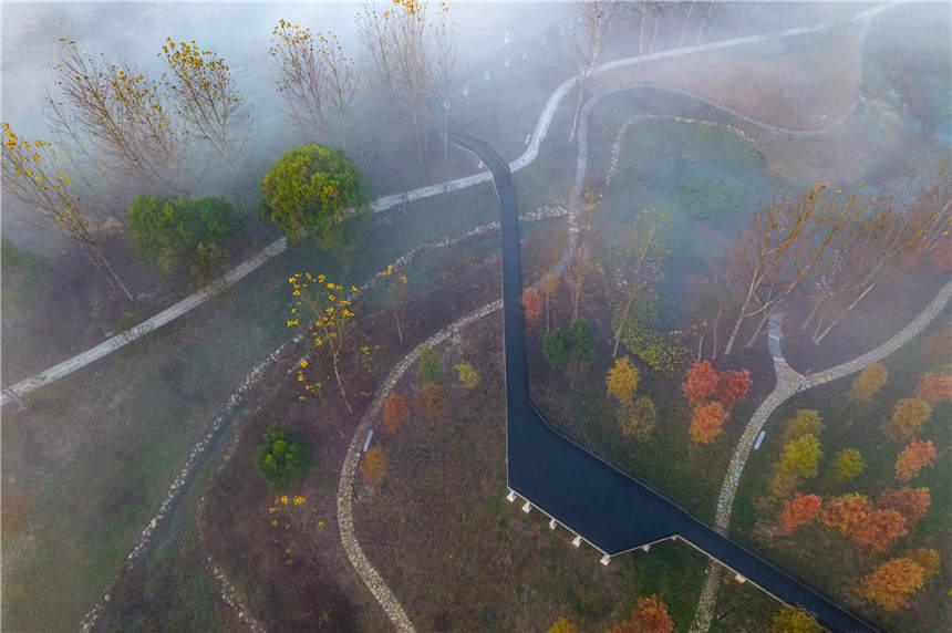 ޏ(f)SغB(ti)جF(xin)ҊĶƺ^