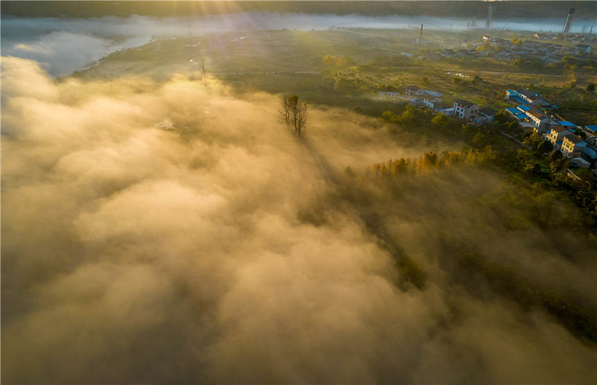 ޏ(f)SغB(ti)جF(xin)Ҋ(jin)Ķƺ^