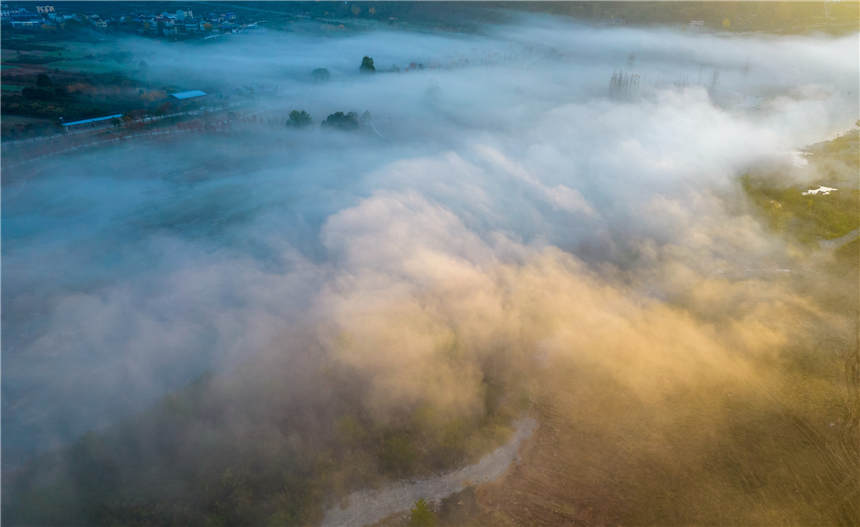 ޏ(f)SغB(ti)جF(xin)ҊĶƺ^