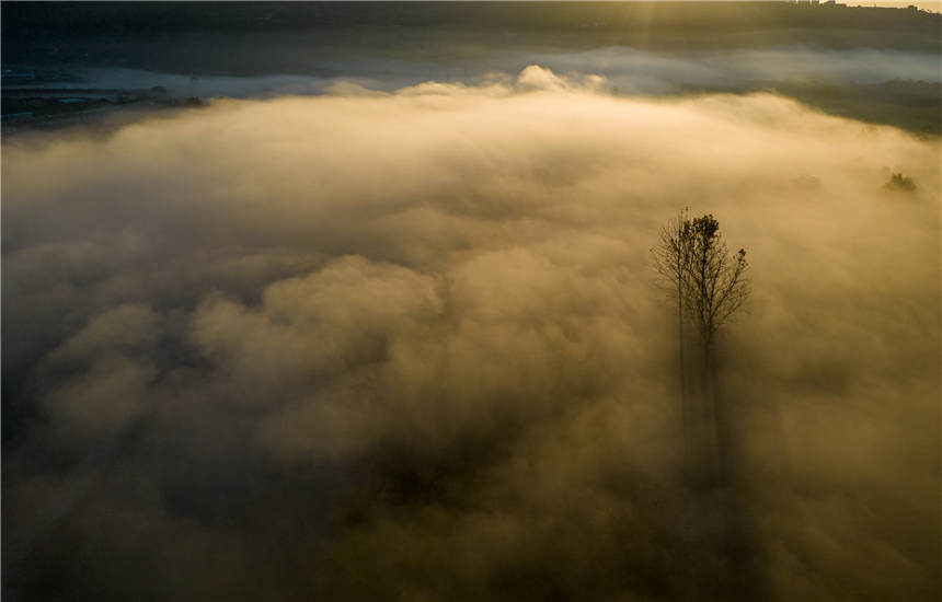 ޏ(f)SغB(ti)جF(xin)ҊĶƺ^