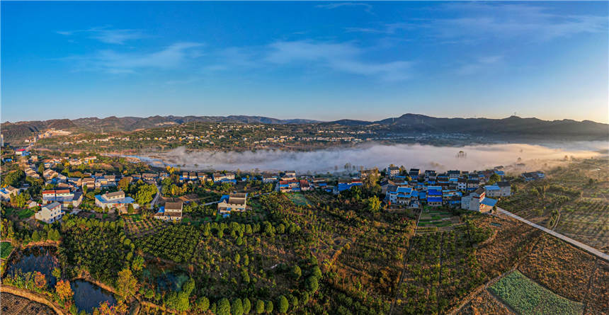 ޏͺSغB(ti)جF(xin)ҊĶƺ^