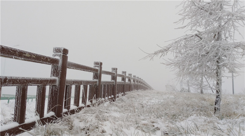 ybع ѩr(nng)ͯԒ硾2