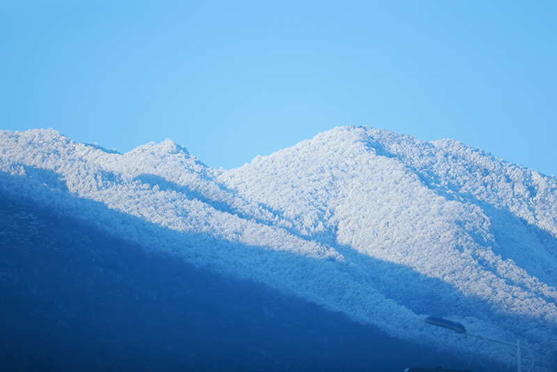 銀裝素裹 雪后神農(nóng)架宛如童話世界