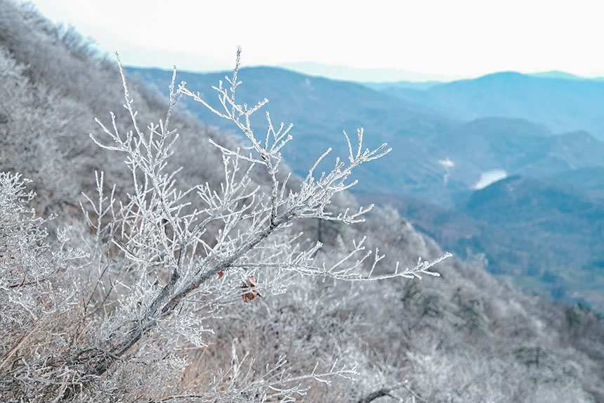 tϾɽѩV F(xin)(sh)14