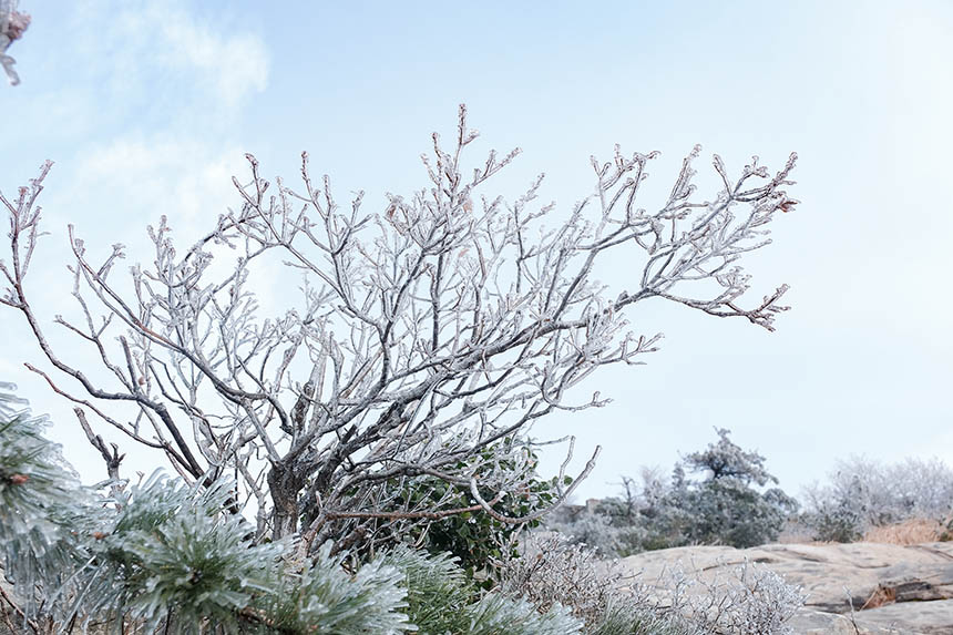 tϾɽѩV F(xin)䭂17