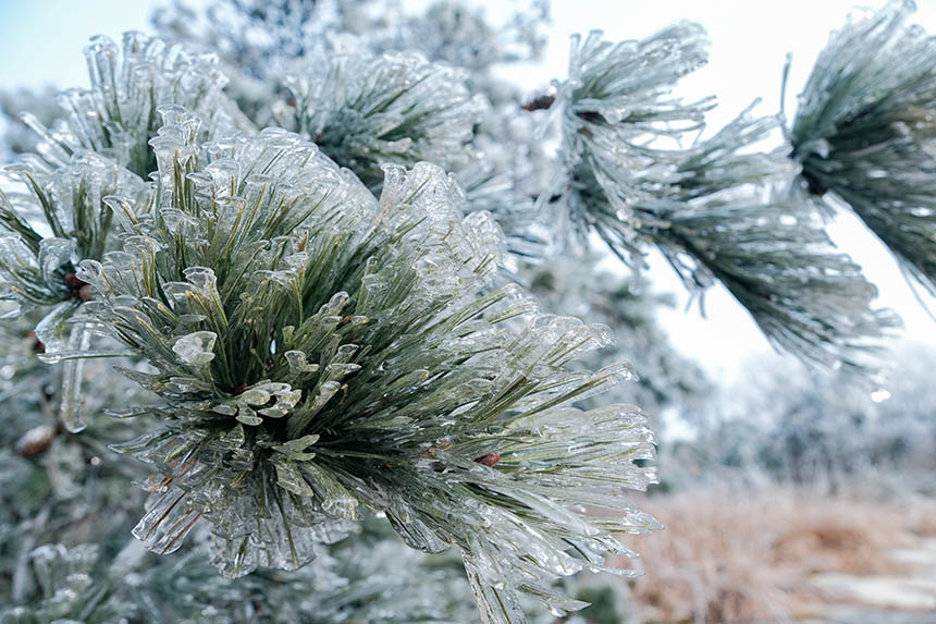 tϾɽѩV F(xin)䭂18