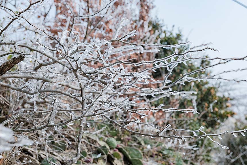 湖北紅安:老君山雪后初霽 現(xiàn)“玉樹(shù)瓊花”