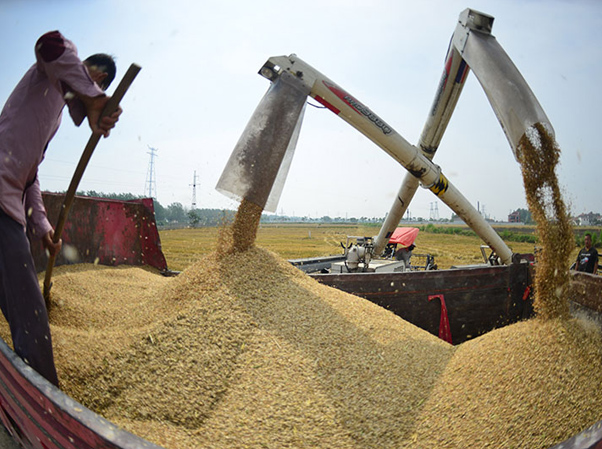 ¸· Ƽd· a(chn)I(y)· ؼZڵؼZڼĺ