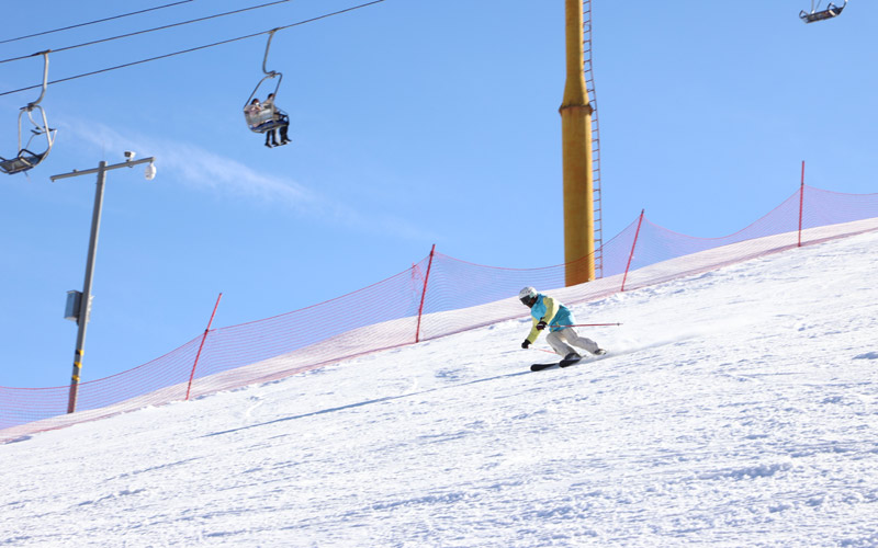 r(nng)܇(gu)Hѩ(chng)ڰˌȫ(gu)󱊱ѩ(hu)(chng)֮һѩ(i)߽j(lu)[^