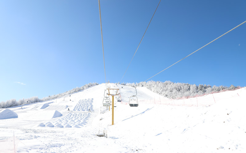 r(nng)܇Hѩڰˌȫ󱊱ѩ(hu)֮һѩۺ߽j(lu)[^