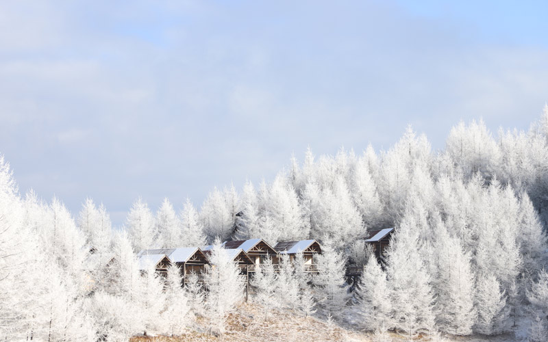 r(nng)܇(gu)Hѩ(chng)ڰˌȫ(gu)󱊱ѩ(hu)(chng)֮һѩۺ߽j(lu)[^