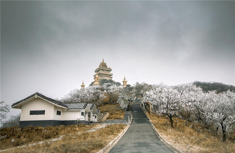 湖北隨州大洪山:漫山霧凇 分外妖嬈【2】