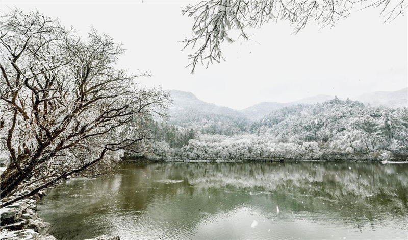 湖北隨州大洪山:漫山霧凇 分外妖嬈【3】