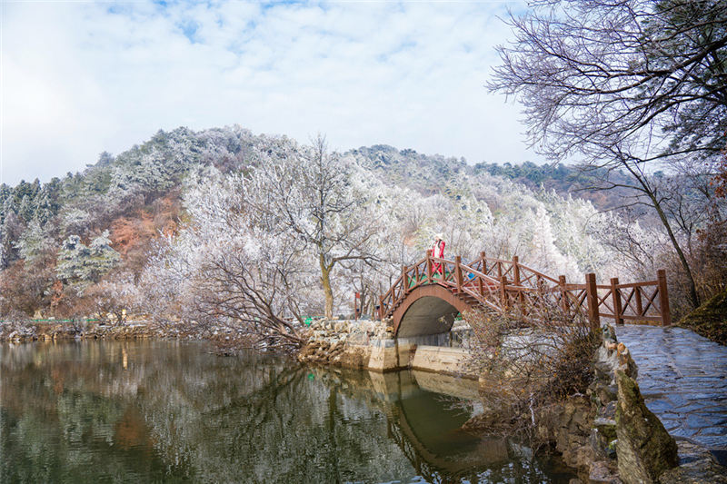 湖北隨州大洪山:漫山霧凇 分外妖嬈【6】