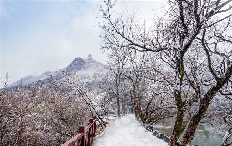 湖北隨州大洪山:漫山霧凇 分外妖嬈【5】
