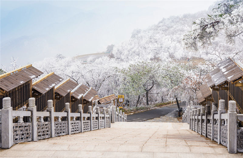 湖北隨州大洪山:漫山霧凇 分外妖嬈【4】