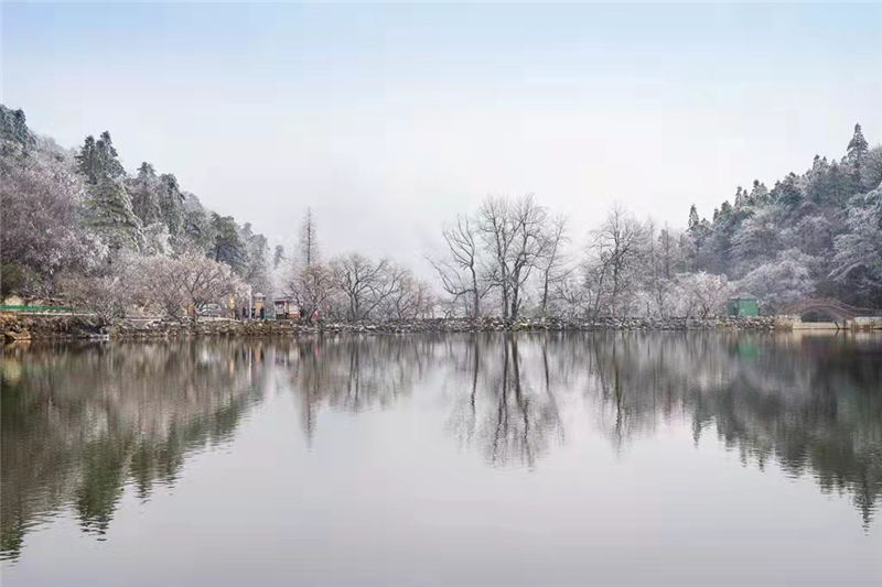 湖北隨州大洪山:漫山霧凇 分外妖嬈【8】