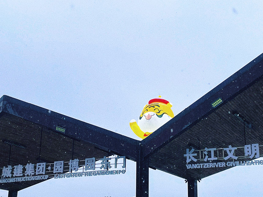 ϻڈ@@(ni)(g)䣬c_hѩxӳoz