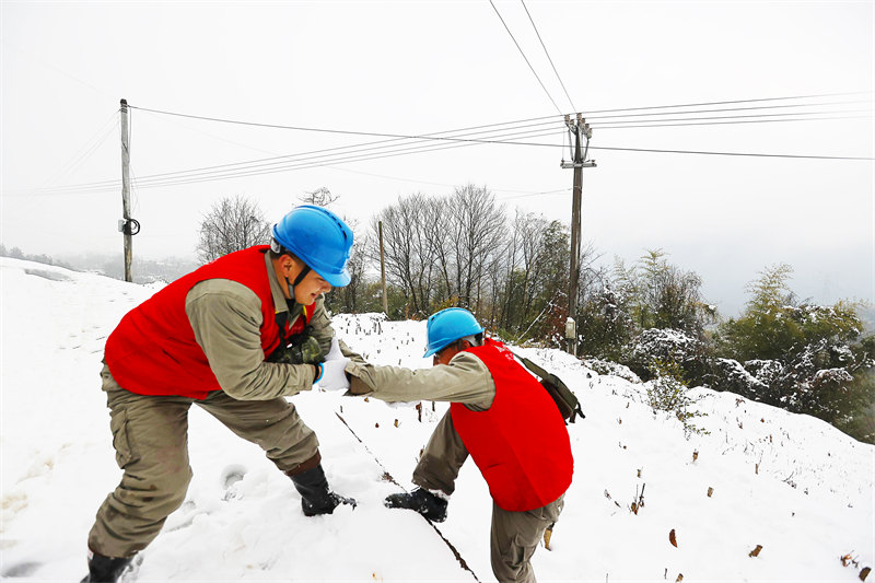 W(wng)Lꖹ늹˾T10ǧľϪѲ[Ƽz