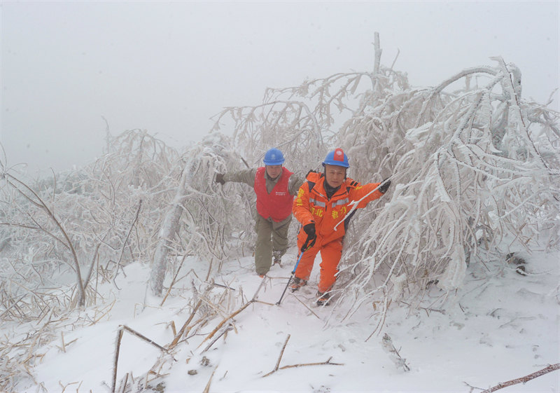  W(wng)Тй늹˾ǰվѲҕ·rཡz