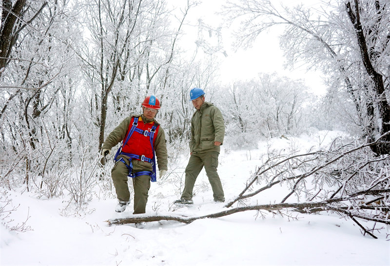 (gu)W(wng)Sݹ늆TڏVˮţɽѲҕL(fng)ϾW(wng)·z