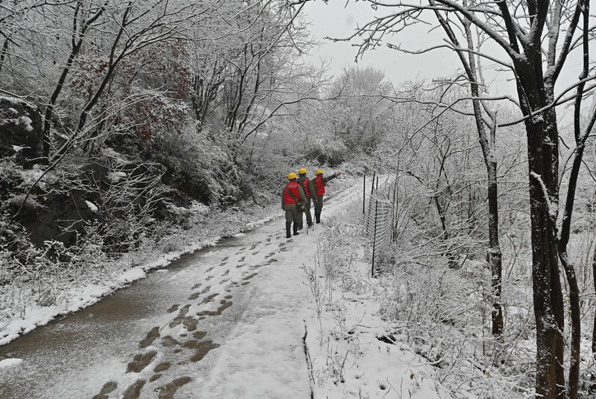 W(wng)Sʯ늹˾ݔѲ˽Mɽϵݔ늾·M(jn)Ѳ܊z