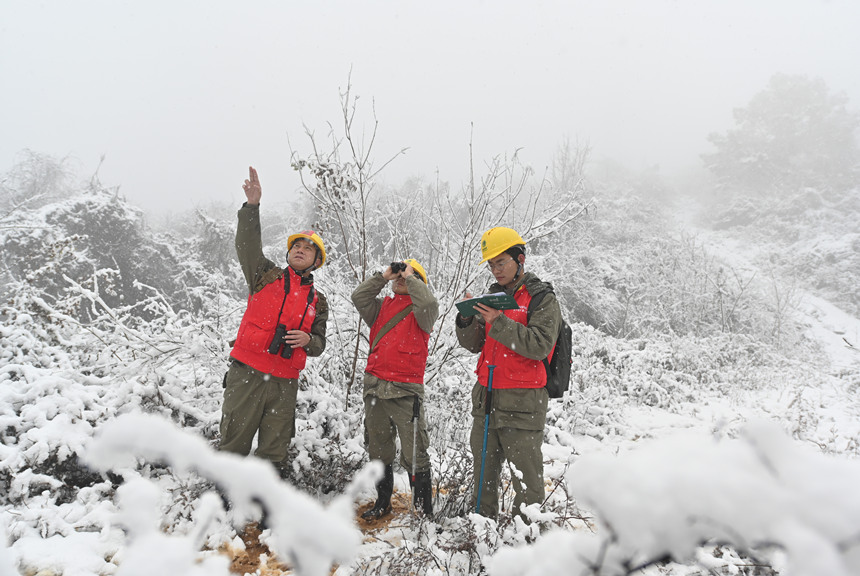 W(wng)Sʯ늹˾ݔѲ˽M(du)ɽϵݔ늾·M(jn)Ѳ܊z