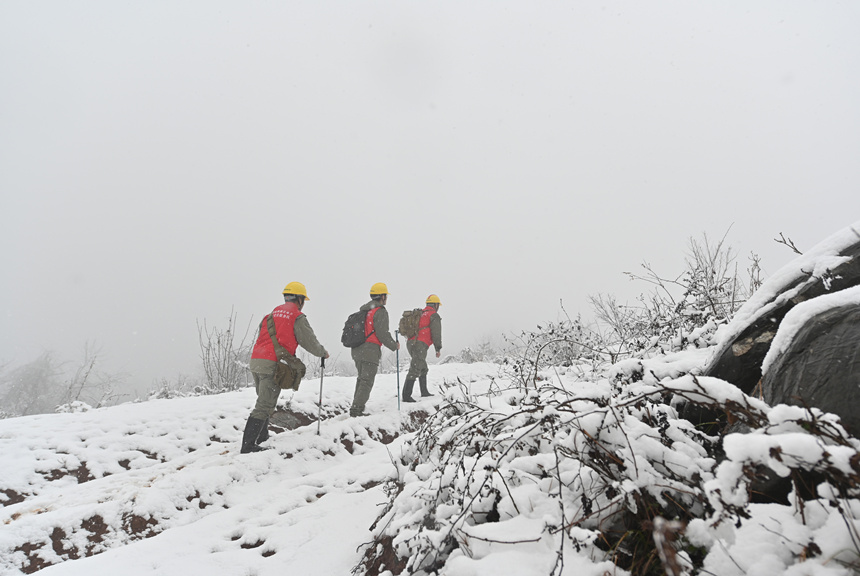 W(wng)Sʯ늹˾ݔѲ˽Mɽϵݔ늾·MѲ܊z