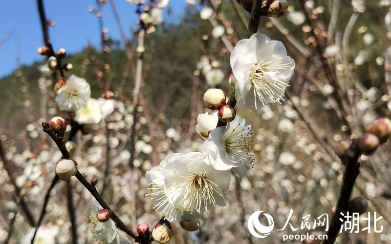 24գhӭ`G񼊼p̤࣬ϲcζW(wng) z