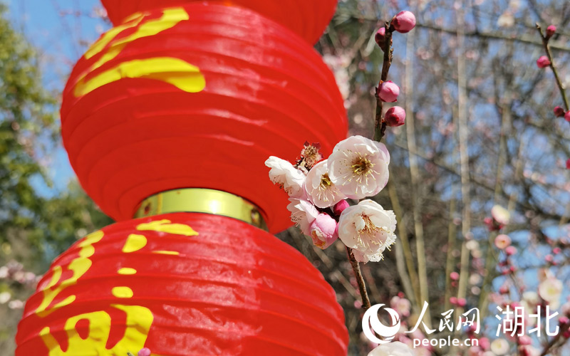 24hӭ`G񼊼p̤ϲcζW(wng) z