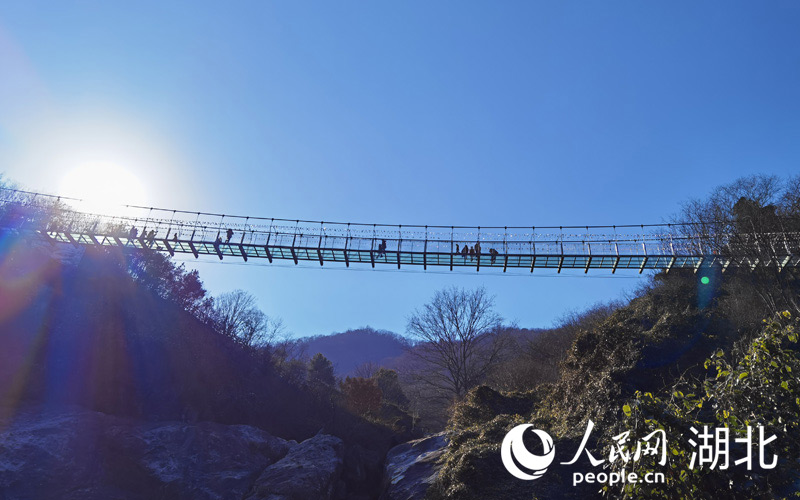 24գhӭ`G񼊼p̤ϲcζW(wng) z