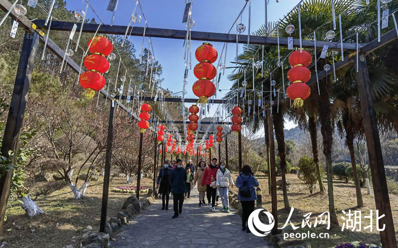 24գhӭ`G񼊼p̤࣬ϲcζW(wng) z