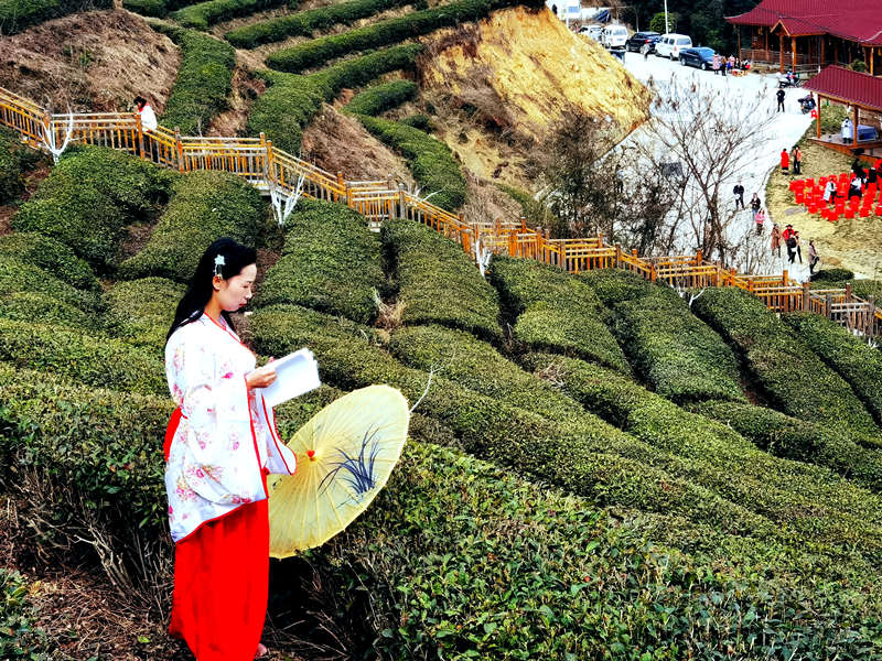 ԊۺԊ_l(xing)ğ