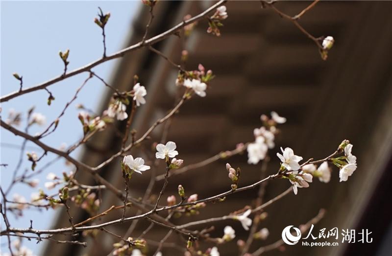 hW(xu)У@(ni)֙ѻѽ(jng)Ȼ`W(wng) ɔz