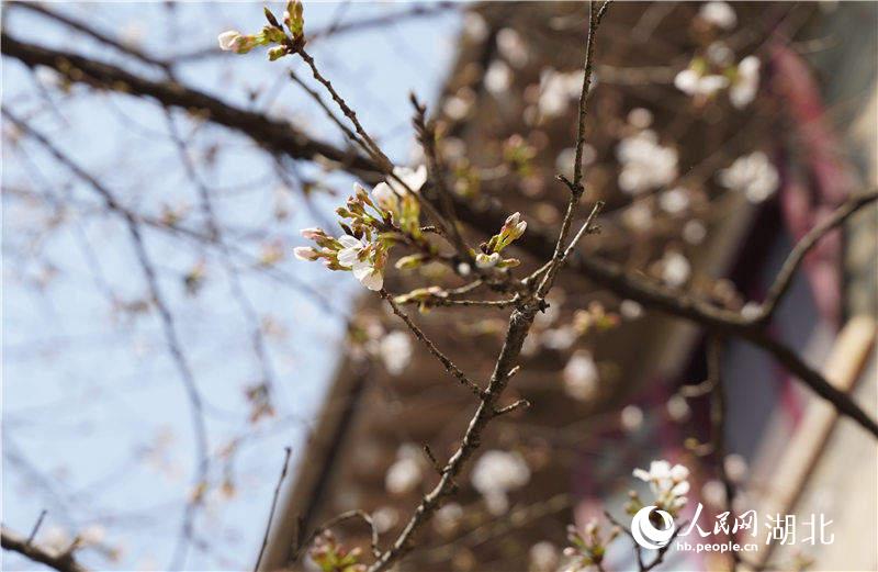 hW(xu)У@(ni)֙ѻѽ(jng)Ȼ`W(wng) ɔz