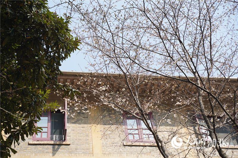 hW(xu)У@(ni)֙ѻѽ(jng)Ȼ`šW(wng) ɔz