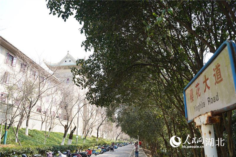 hW(xu)ѻϙѻ`W(wng) ɔz