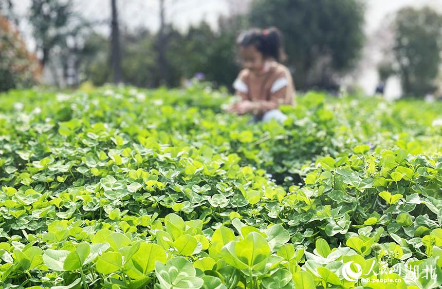 \(yn)Ҹ~ W(wng) P(gun)ϲGz