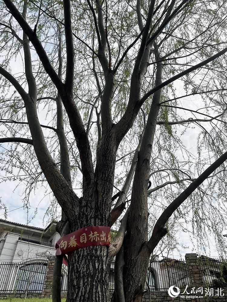  Ŀ(bio)l(f)W(wng) P(gun)ϲGz