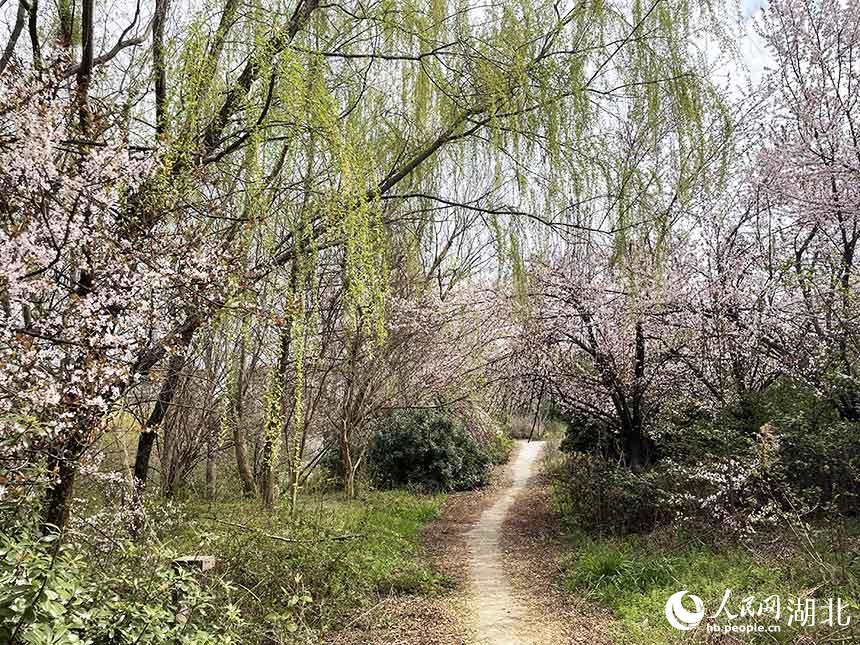 曲徑通幽。人民網(wǎng) 關(guān)喜艷攝