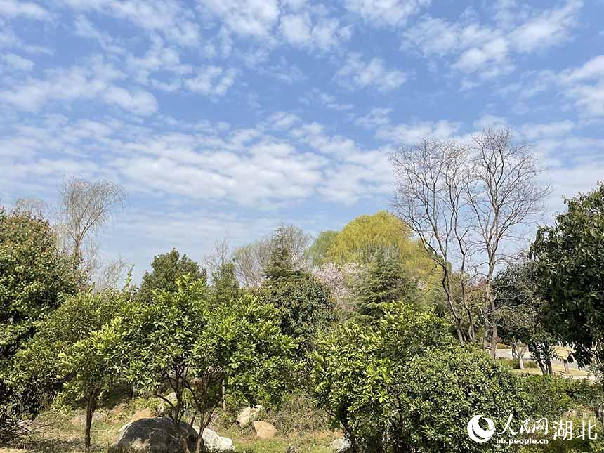  W(wng) P(gun)ϲGz