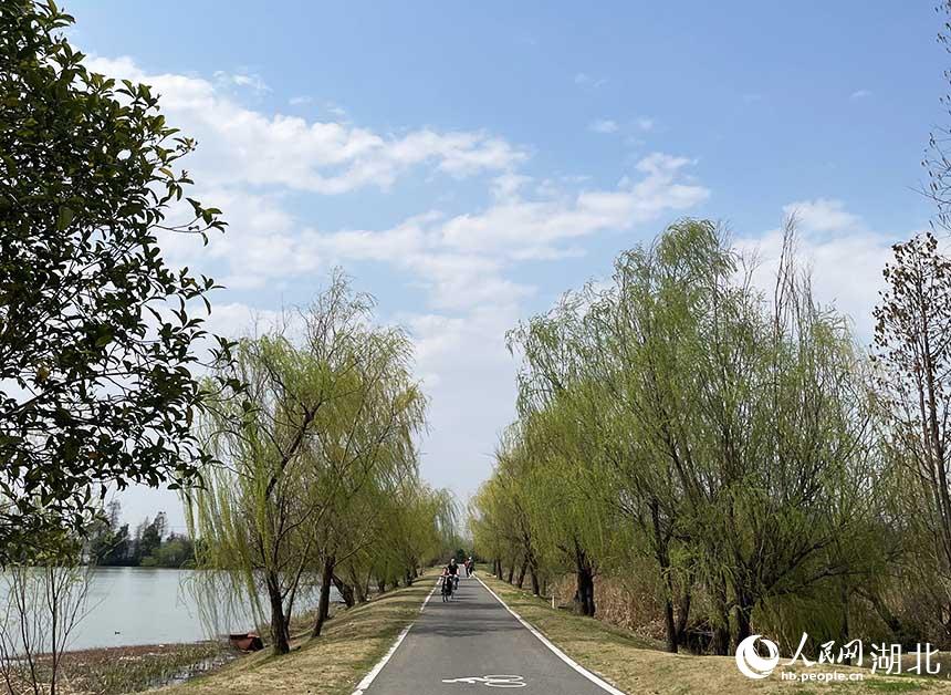 οں߅GT܇档W PϲGz