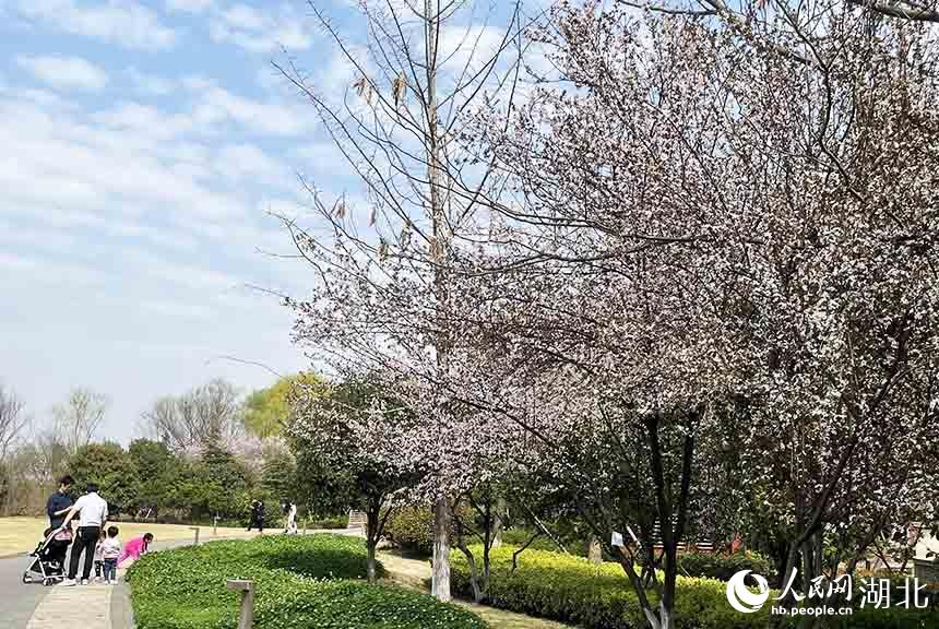 οڇ(yn)߅W(wng) P(gun)ϲGz