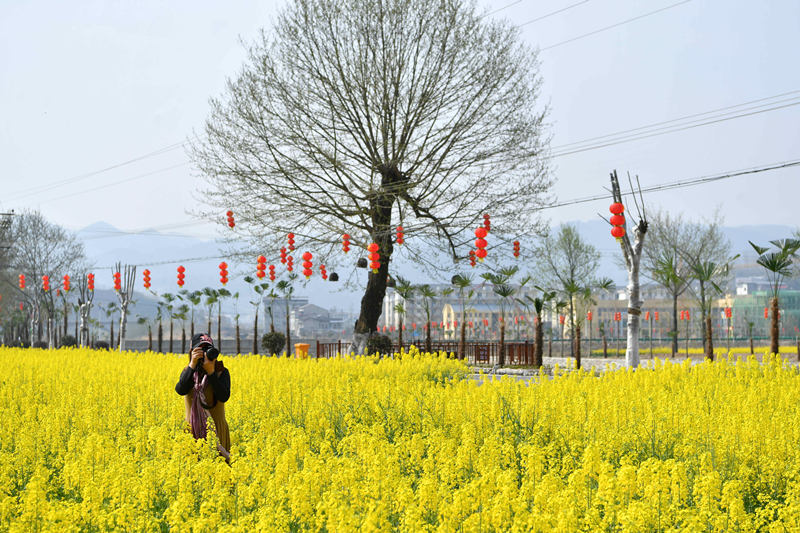 οںʡ(yng)бhR(zhn)μҞͲ˻