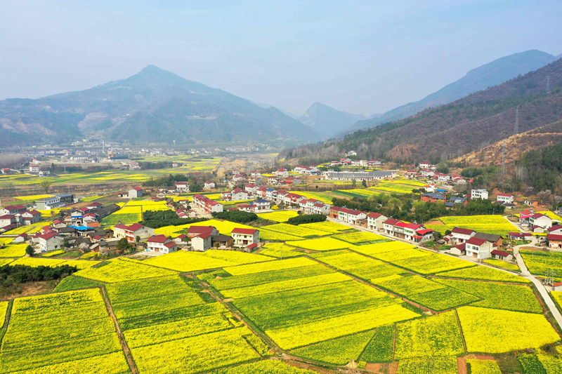 ʡ(yng)бhR(zhn)μҞͲ˻