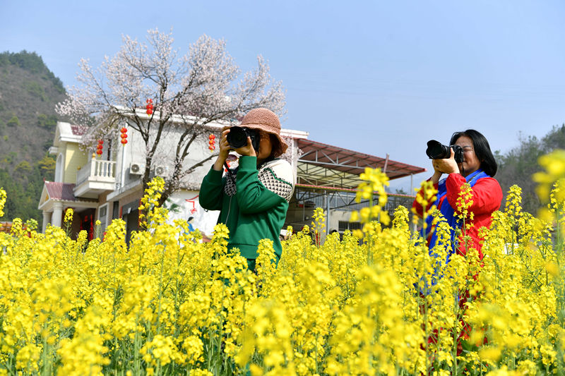 οںʡ(yng)бhR(zhn)μҞͲ˻