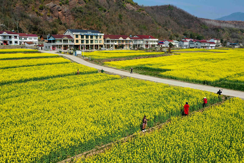 οںʡбhR(zhn)ꐼҞͲ˻p