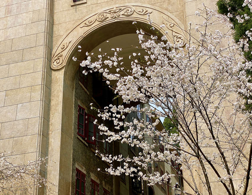 hW(xu)ѻ` _žW(wng)j(lu)pѡͨ9